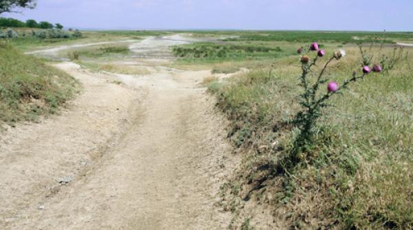 delta terenuri icirc n pericol grindul chituc blocat de predoiu