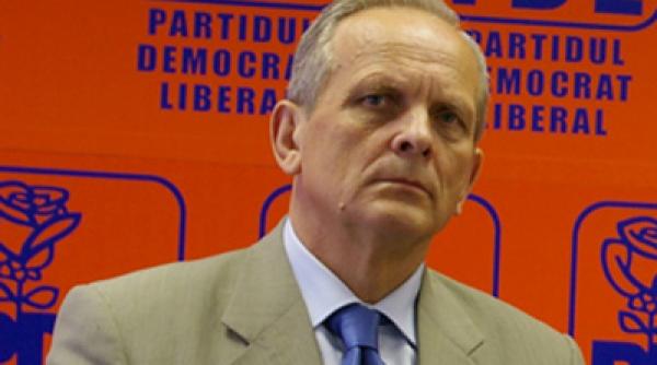 stolojan raman fidel partidului democrat liberal