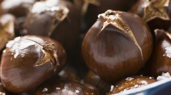 castane fructele vedeta ale sarbatorilor