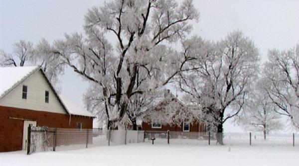prognoza pentru urmatoarele trei luni