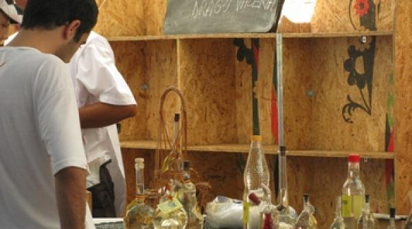 satu mare carte inchinata palincii