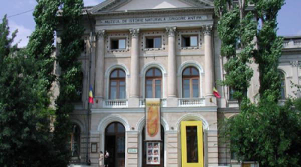 muzeul antipa se inchide pentru un an