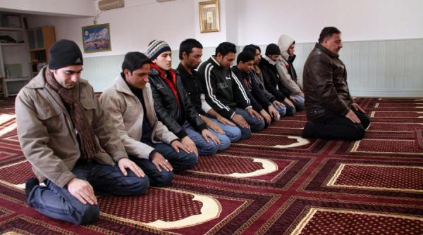 arabii din timisoara protest anti israelian pentru ghaza