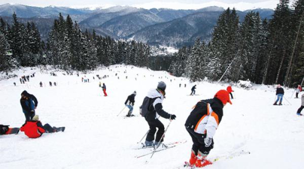 busteni kalinderu doar artificiala