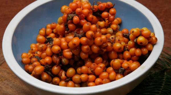 fructe minune l produse delicioase pline de vitamine catina alba vorbareata