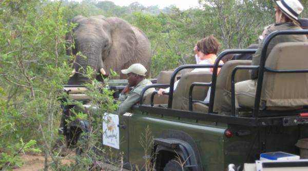 icirc ntalnire cu rudyard kipling tren de placere in africa neagra