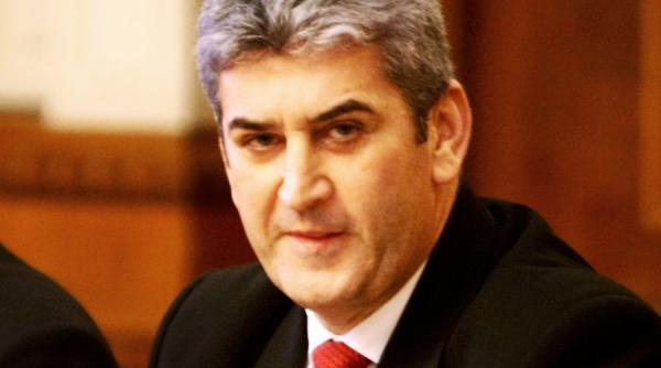 numire controversata la interne vulpea baga dihonia in psd