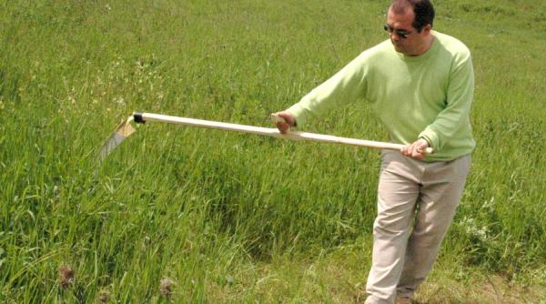 astrograma emil boc vointa puternica hipervigilent inclinat spre secrete