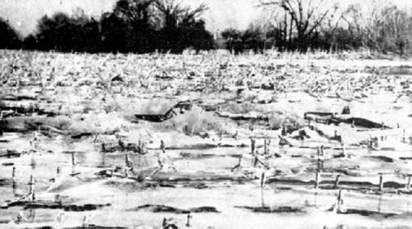 eroismul din inima durerii