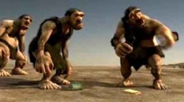 asa au supravietuit cei mici video