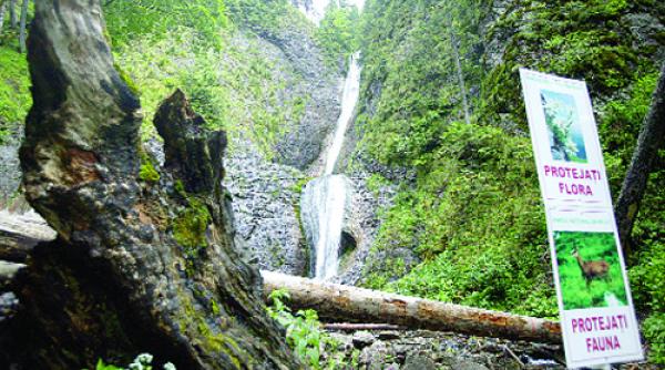 pos mediu un esec zguduitor pierdut fonduri phare le declaram nule