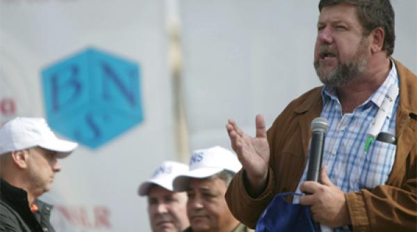 ordonanta ciocu mic cine taie plata drepturilor de autor