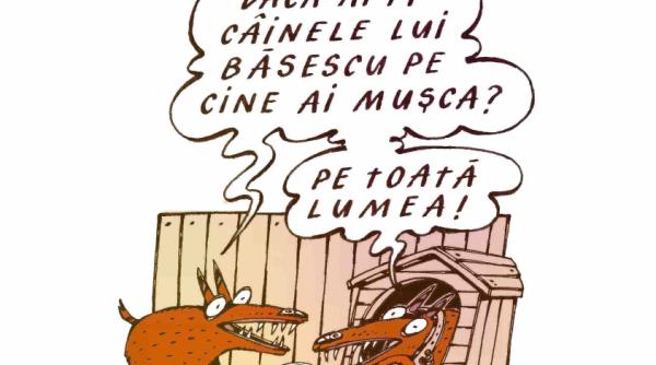 si totusi exportam ceva rafuieli interne