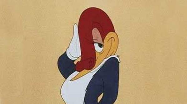 ciocanitoarea woodrea intre taifunul bas si cocos anel