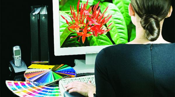 alegem cariera dupa culori