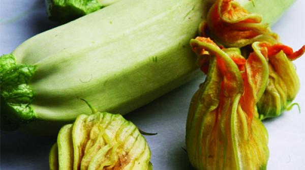 chiftelute din dovlecei