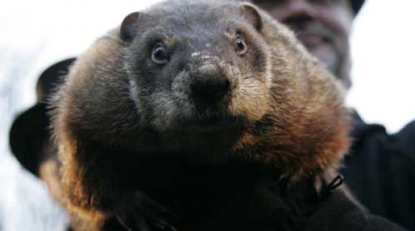 imaginile zilei 2 februarie 2008 foto