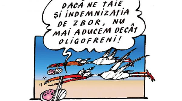 criza de solutii pentru criza economica