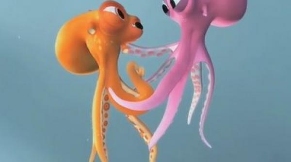 oktapodi o poveste de dragoste