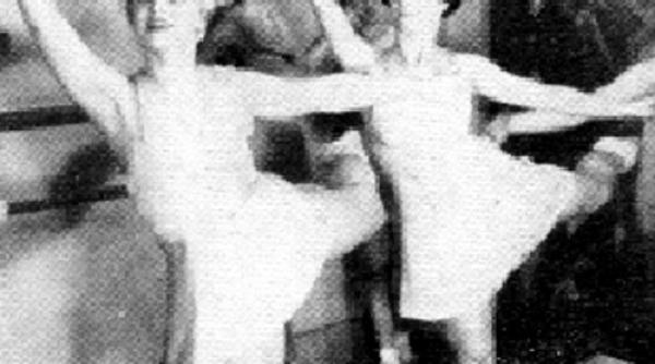 publicistica cele trei zeite