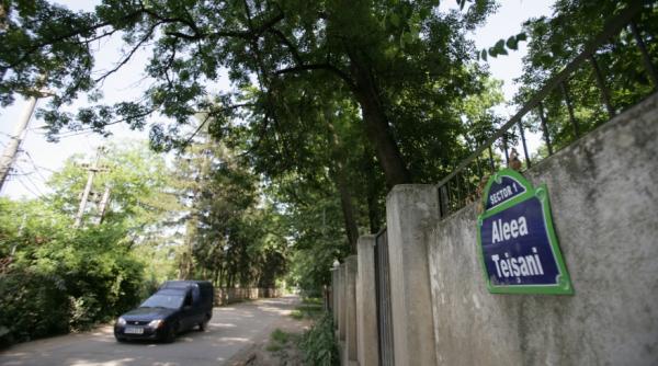 proiecte imobiliare pe teren fantoma drum prezidential in padurea baneasa