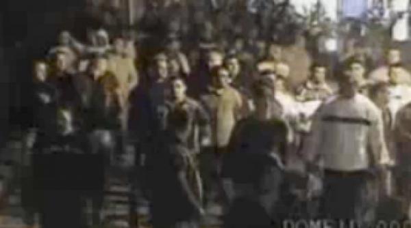 demonstratie de forta a tiganilor din enying video