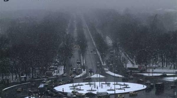 cod galben de ninsori si vant in sud si sud est