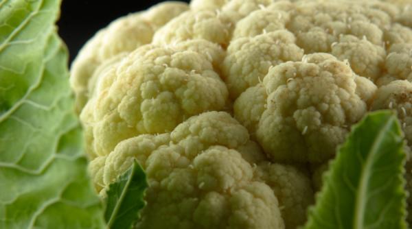 beneficiu conopida este pe placul inimii