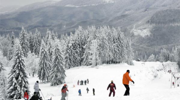 cavnic s a albit tot maramuresul