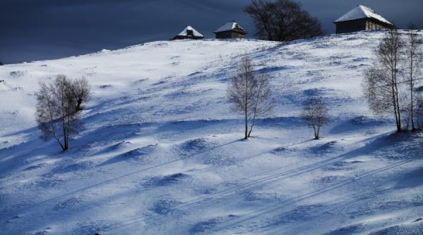 expozitie nicolae cosniceru despre sufletul si harul unui artist