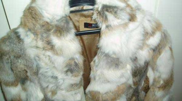 exclusiv obiecte disparute o data cu elodia