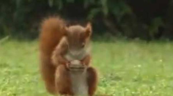 icirc ncepe liga campionilor