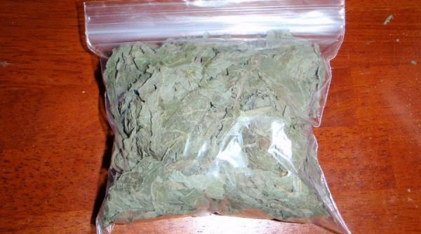 plante cu efecte similare drogurilor vandute legal in romania