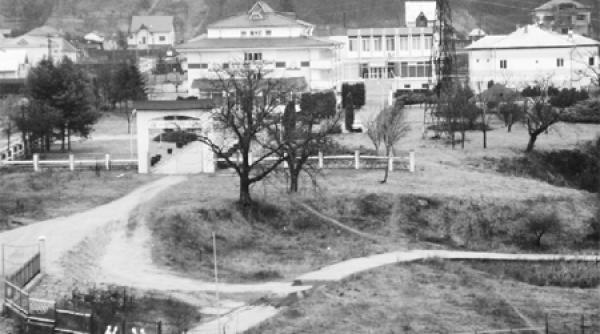 iz de faliment sportul romanesc strivit de interesul imobiliar