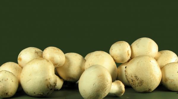 mananca inteligent ciuperci uscate