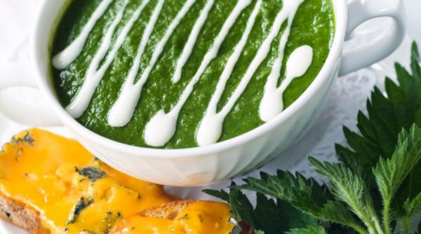 recomandari spanacul si loboda din gura