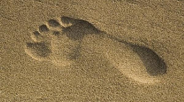 urme de pasi umani de 1 5 milioane de ani
