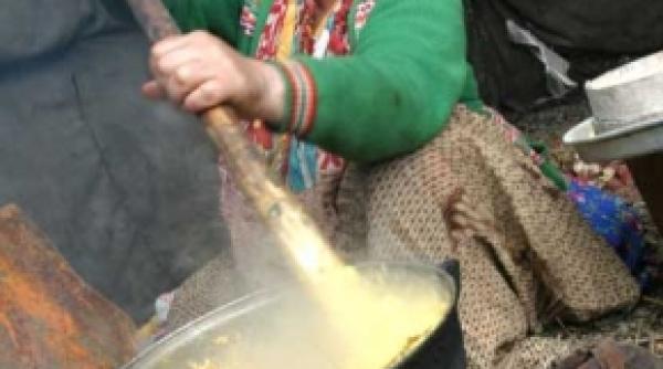 propunere jurnalul national tigan in loc de rom