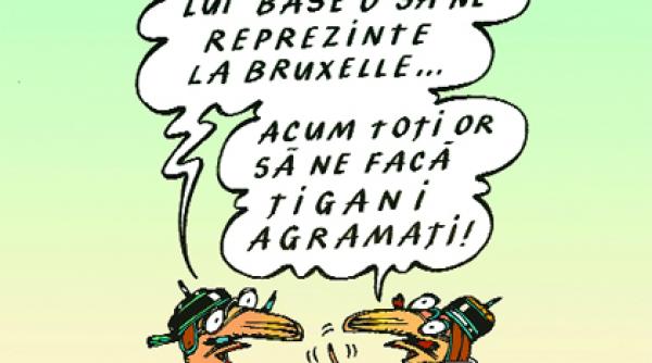 de la iorga si titulescu la elena basescu