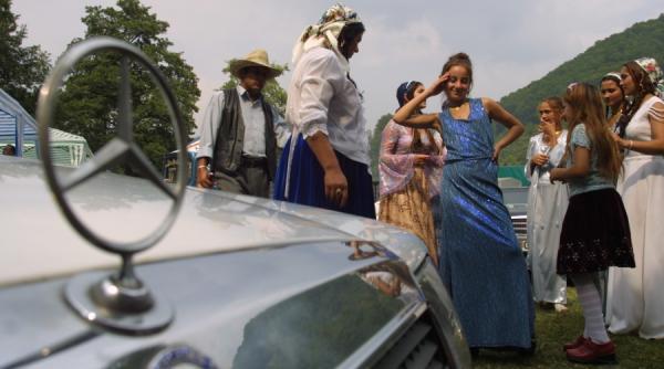 de ce i a vrut teodor melescanu tigani