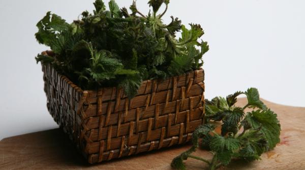 de 8 martie va urez satisfactii culinare deosebite