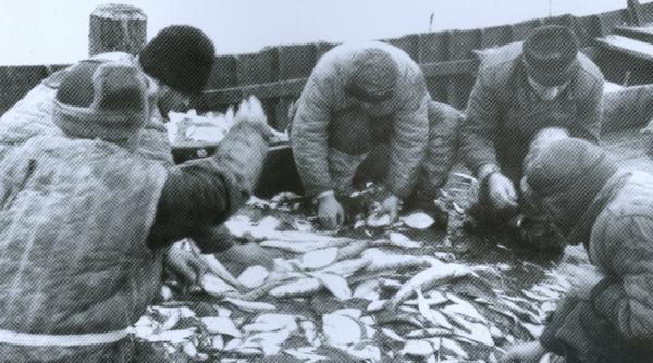 memoria pamantului dobrogea care a fost