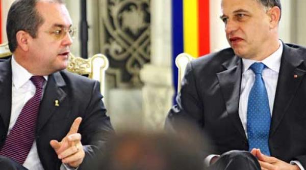 gaurile din cascaval