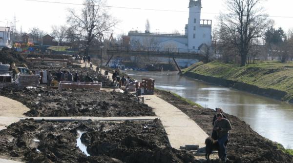 chelului tichie de margaritar stonehenge de timisoara moftul primariei