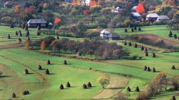 calatorie in satul paraului cu brebi
