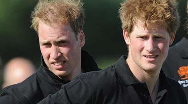 printii william si harry posibile tinte ale gruparilor ira