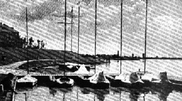 publicistica sentimentul naturii