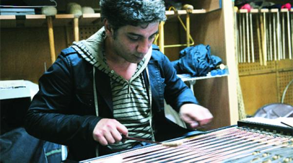 vanzatorii de placeri