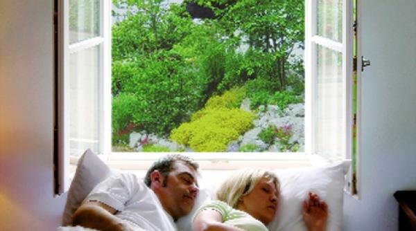 alergicii la polen pot fi mai feriti de neplaceri cu plasele de protectie