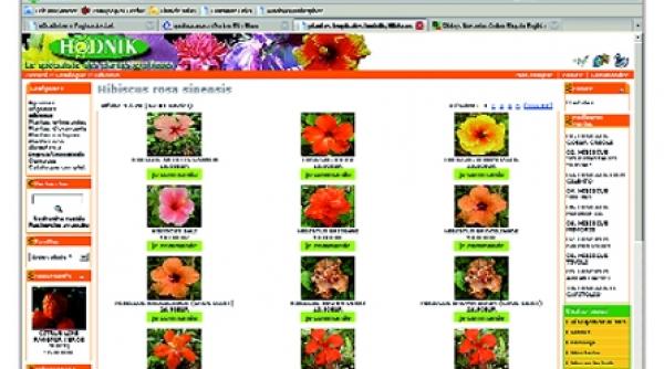 magazine online pentru amatorii de plante rare sau varietati spectaculoase